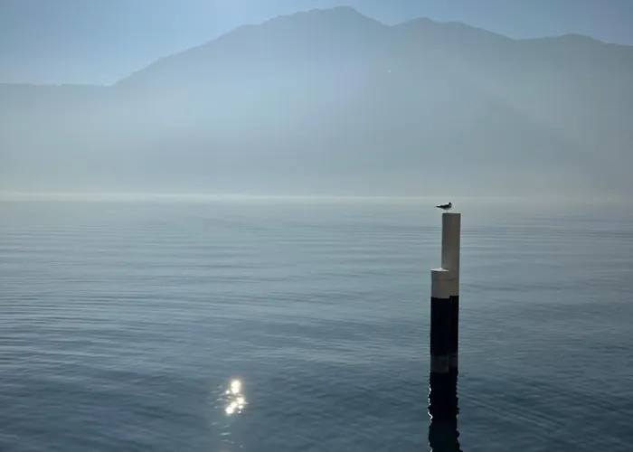 La Casa Sulla Collina - Apt. 2 Colonno